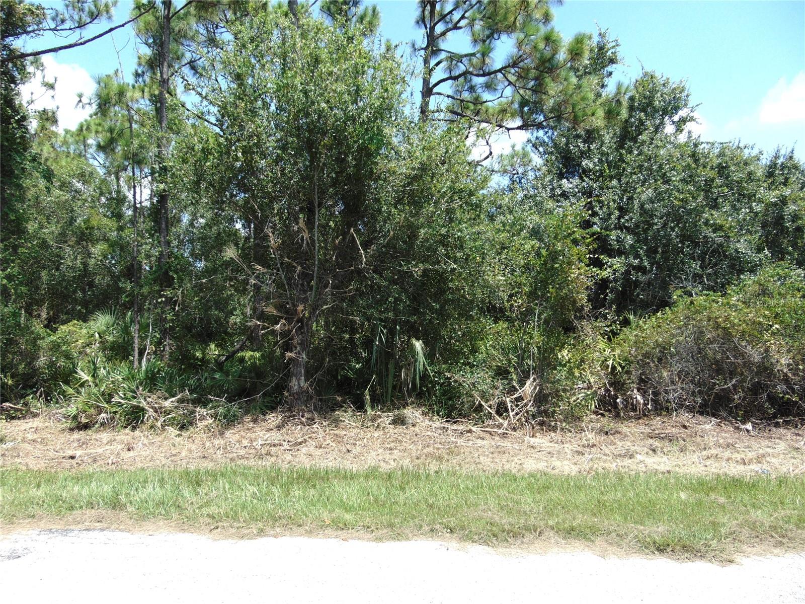 23376 Corinne Ave Property Photo 2