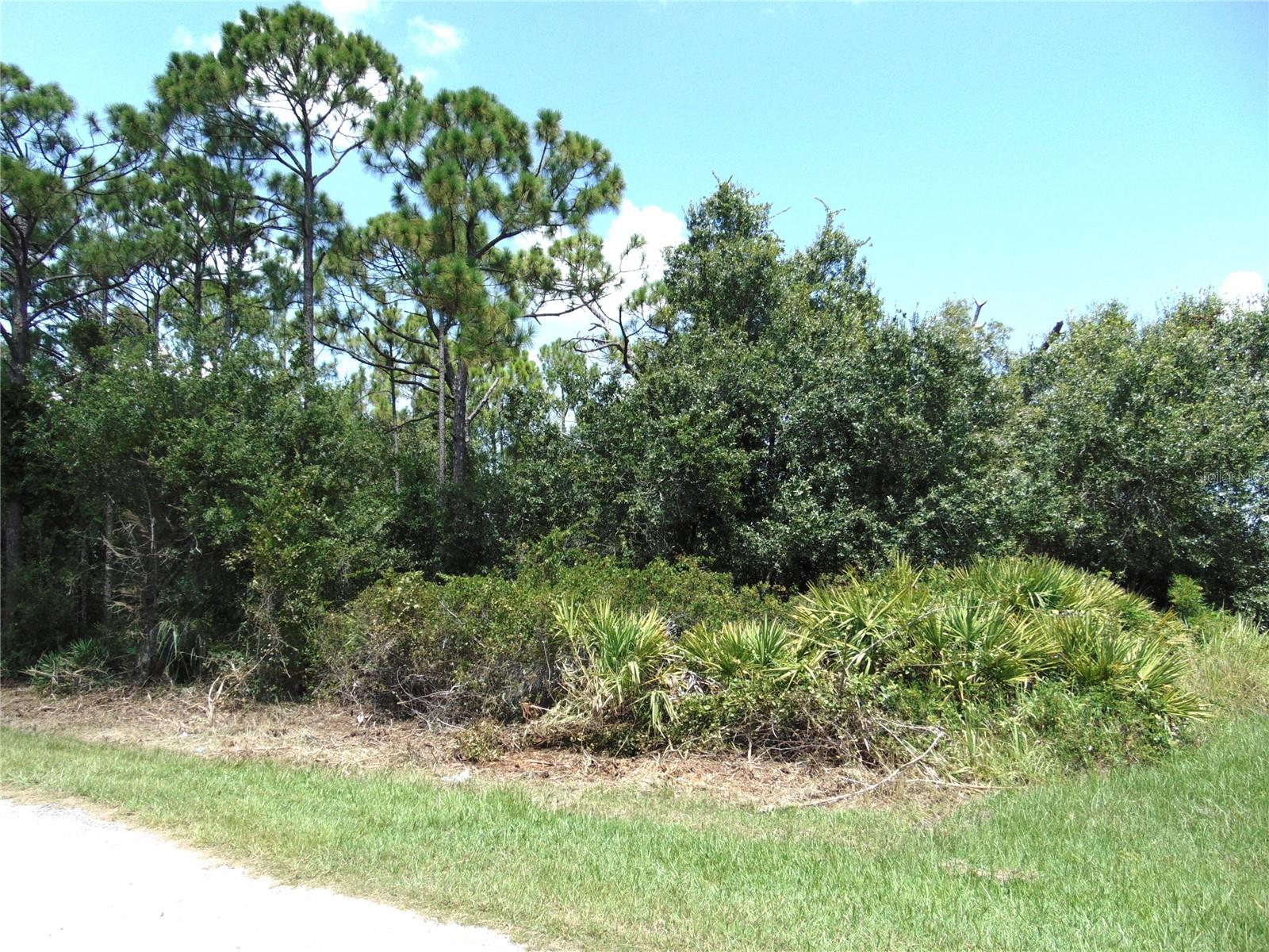 23376 Corinne Ave Property Photo 3