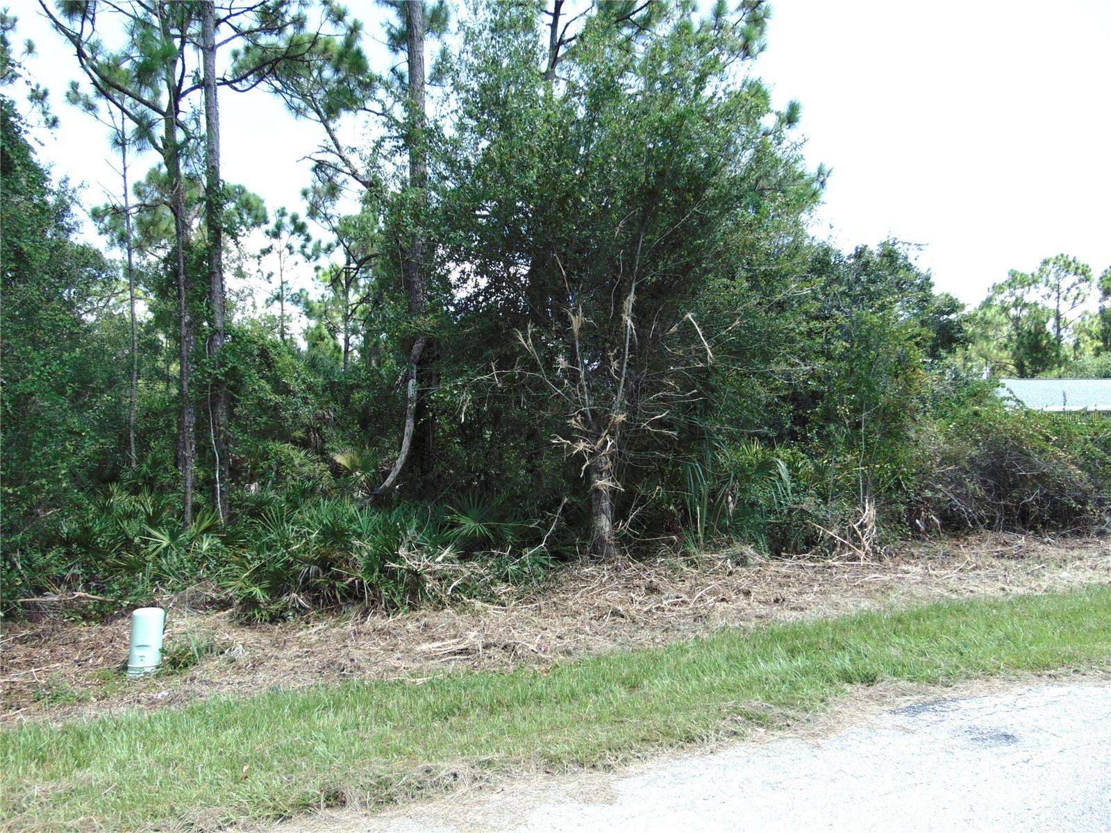23376 Corinne Ave Property Photo 4