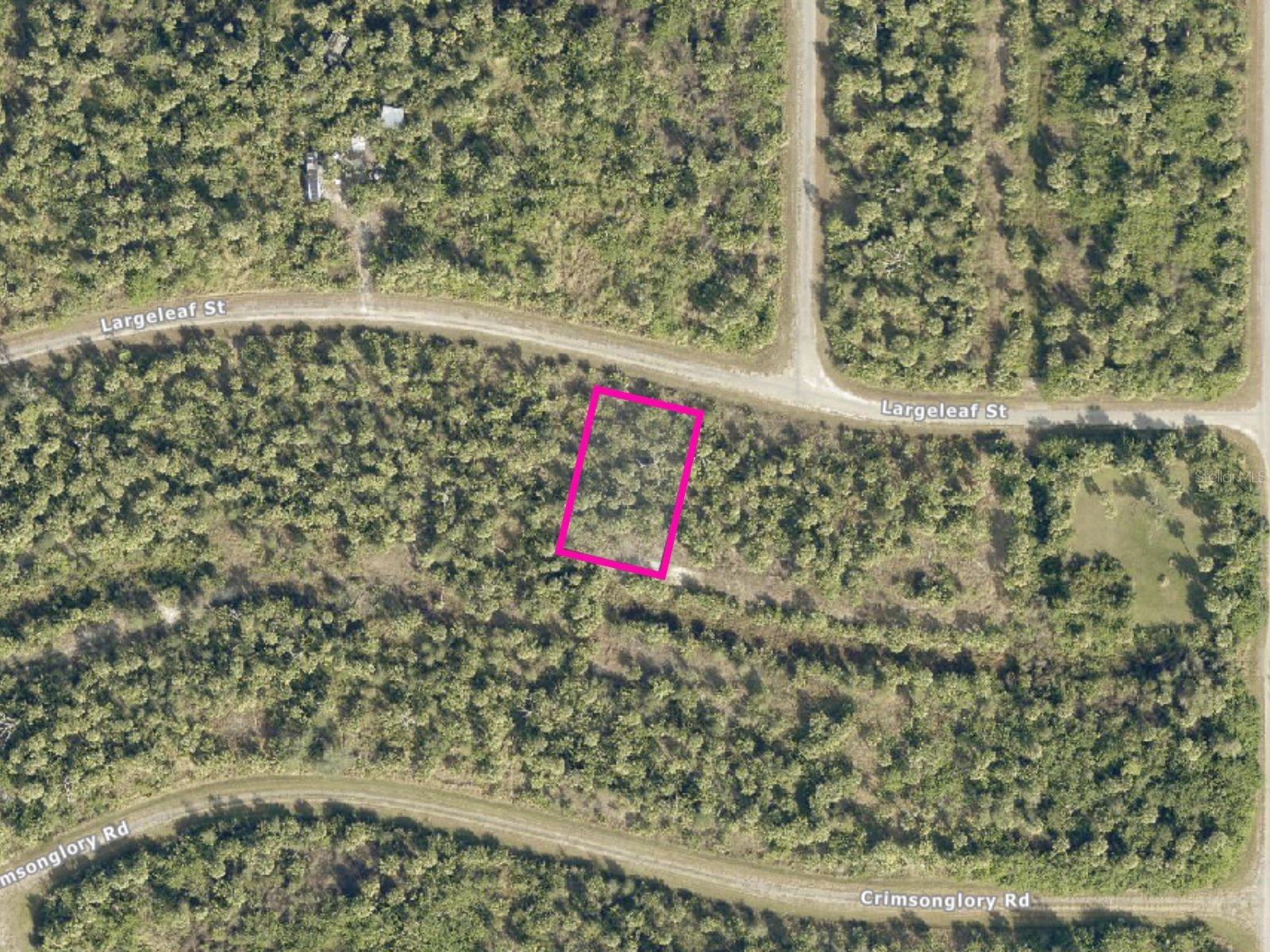 Largeleaf St Property Photo 1