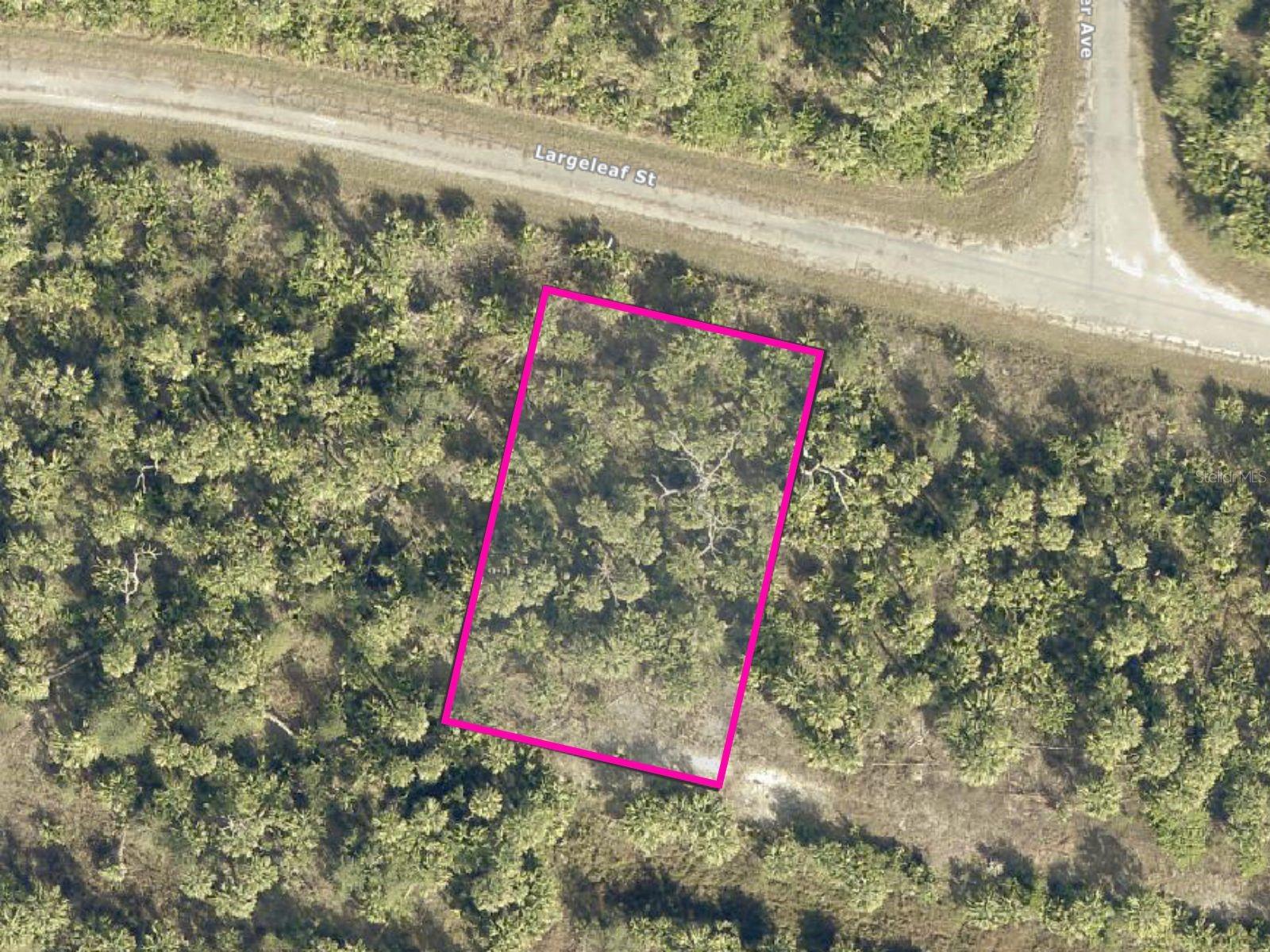 Largeleaf St Property Photo 2