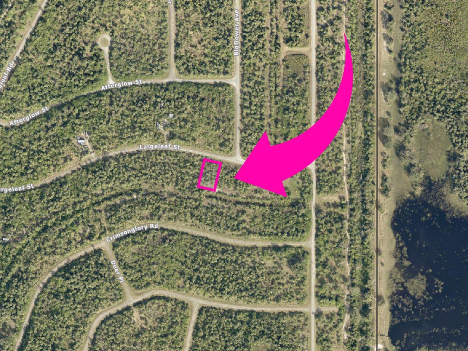 Largeleaf St Property Photo 3
