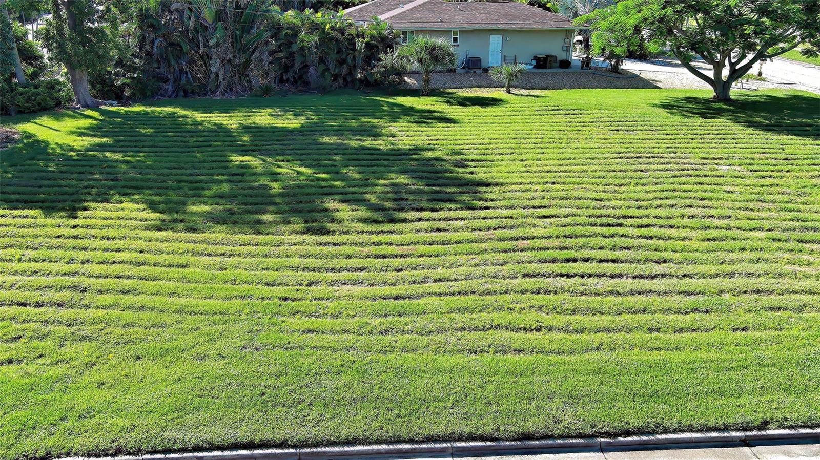 527 Palm Ave Property Photo 1