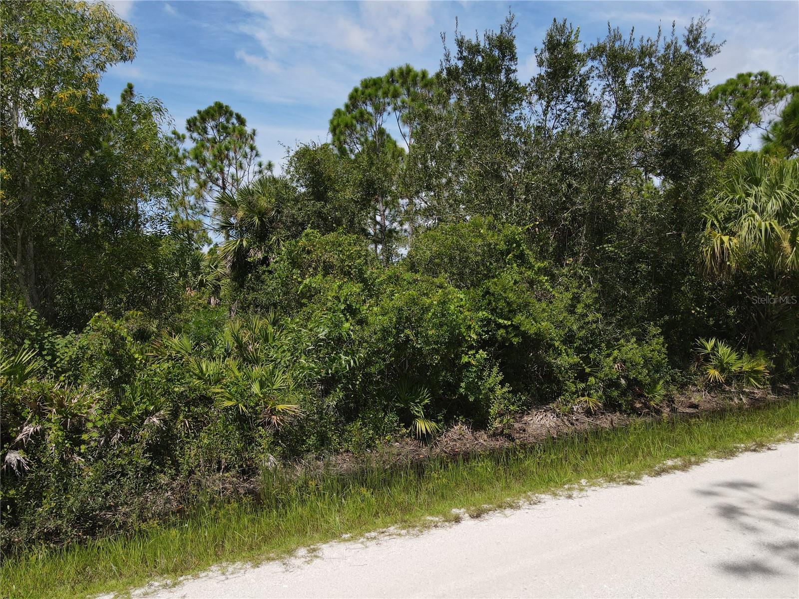 12301 Los Olas Dr Property Photo 3