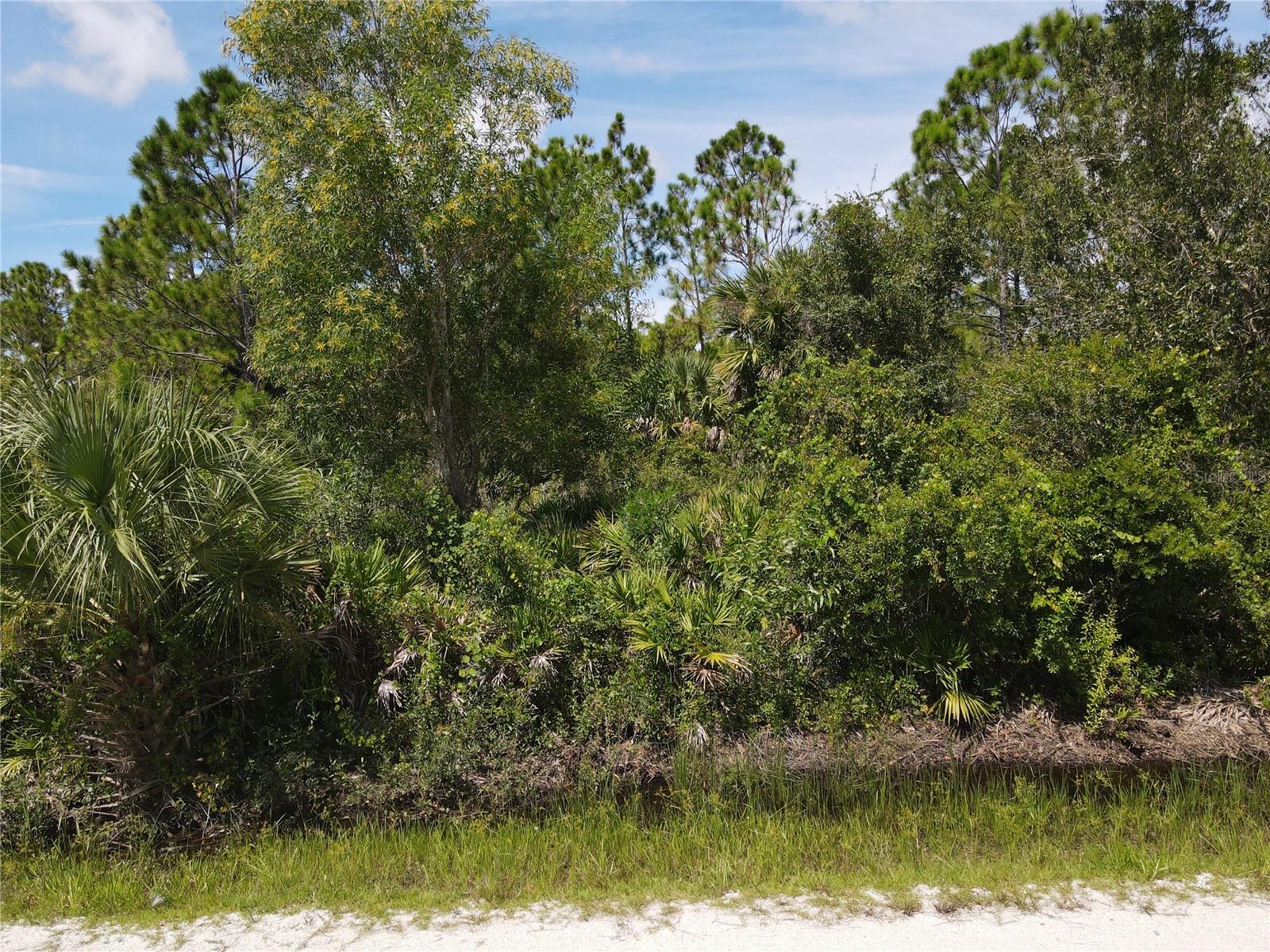 12301 Los Olas Dr Property Photo 5