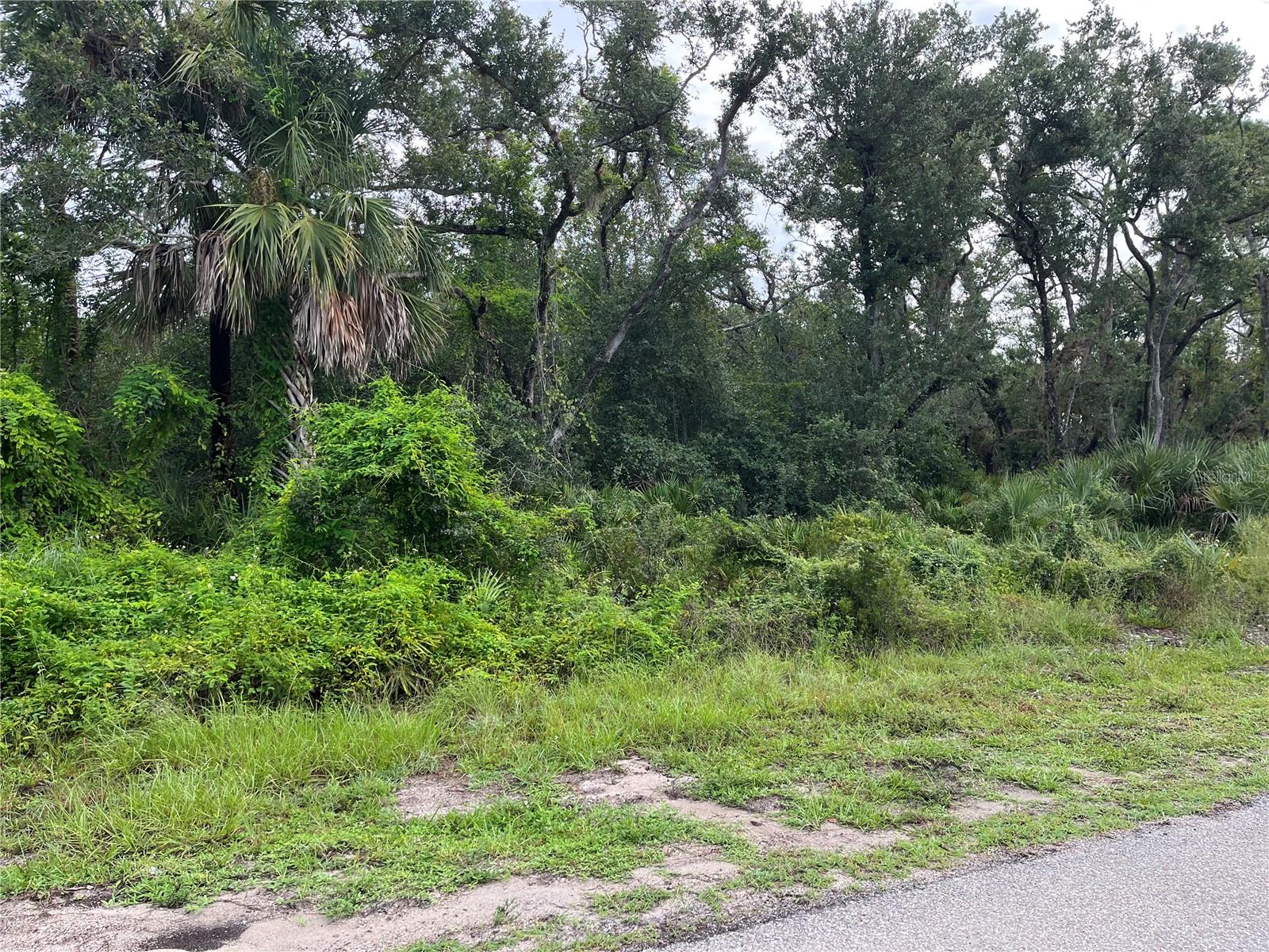 17084 Johns Ave Property Photo 1