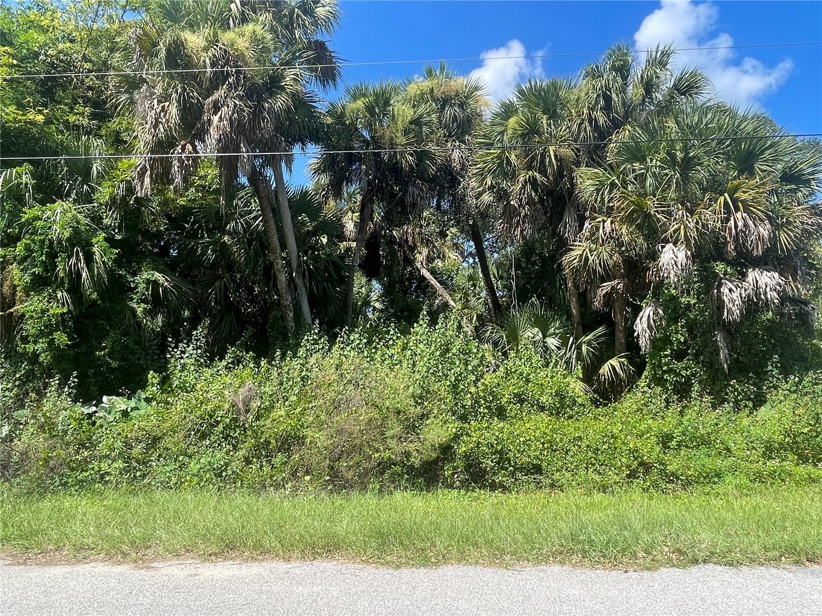 Snyder (lot 6 Block 1019) St Property Photo 1