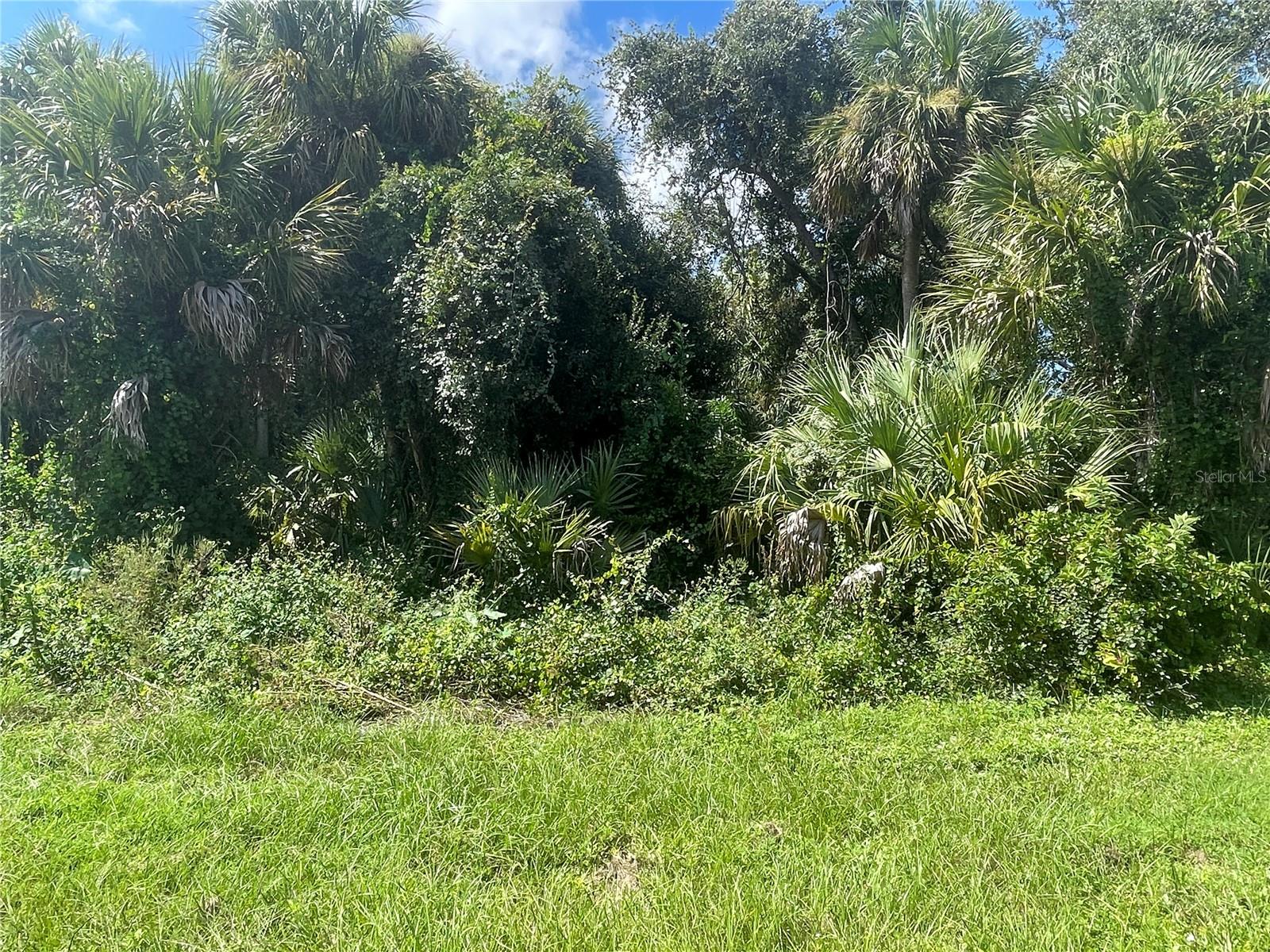Snyder (lot 6 Block 1019) St Property Photo 6