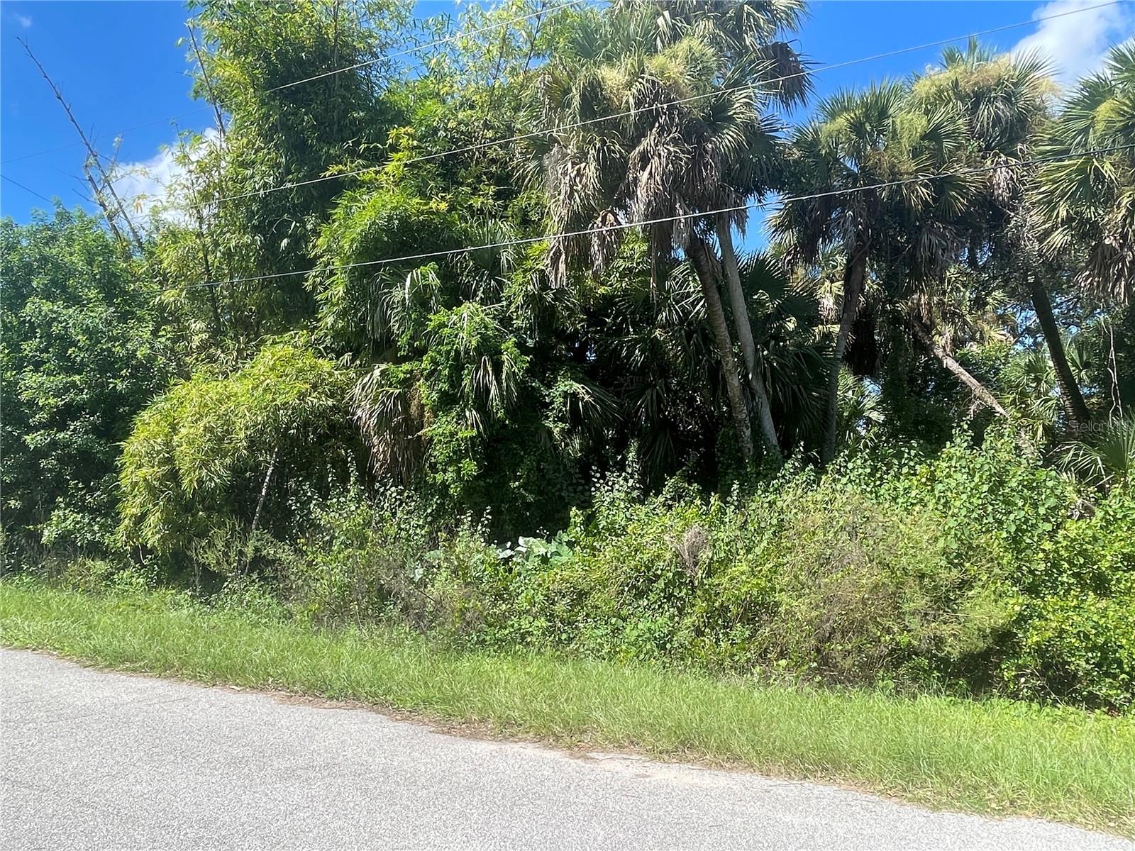 Snyder (lot 6 Block 1019) St Property Photo 7