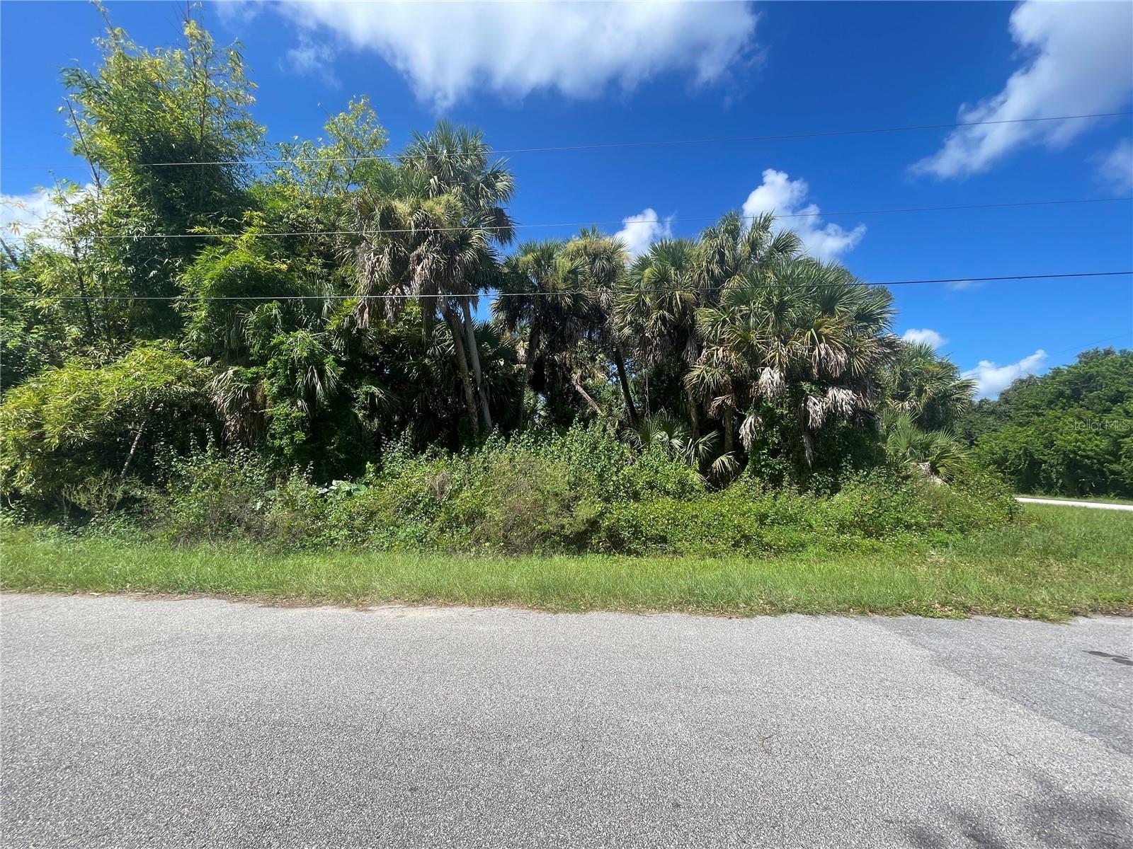 Snyder (lot 6 Block 1019) St Property Photo 8