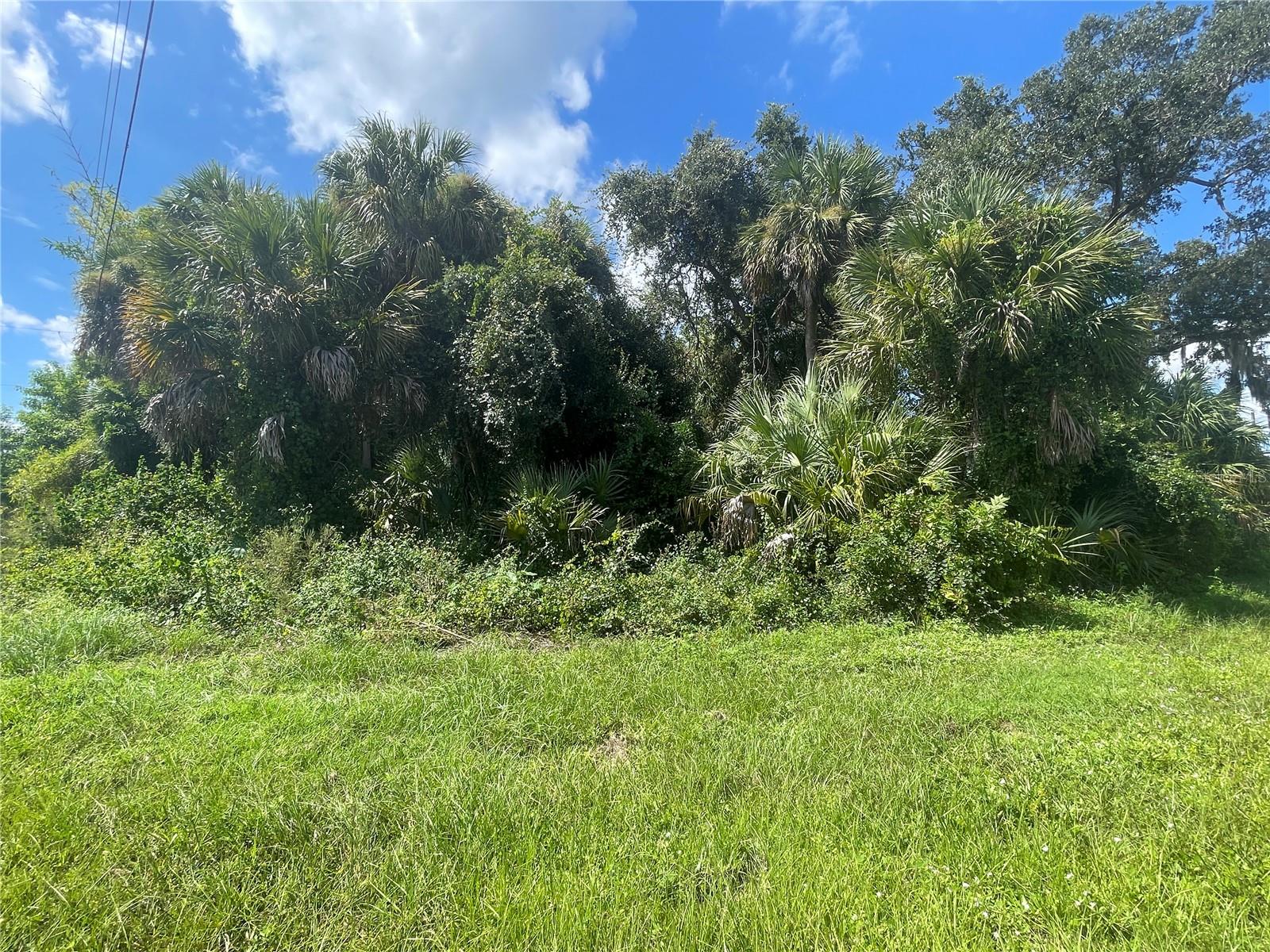 Snyder (lot 6 Block 1019) St Property Photo 19