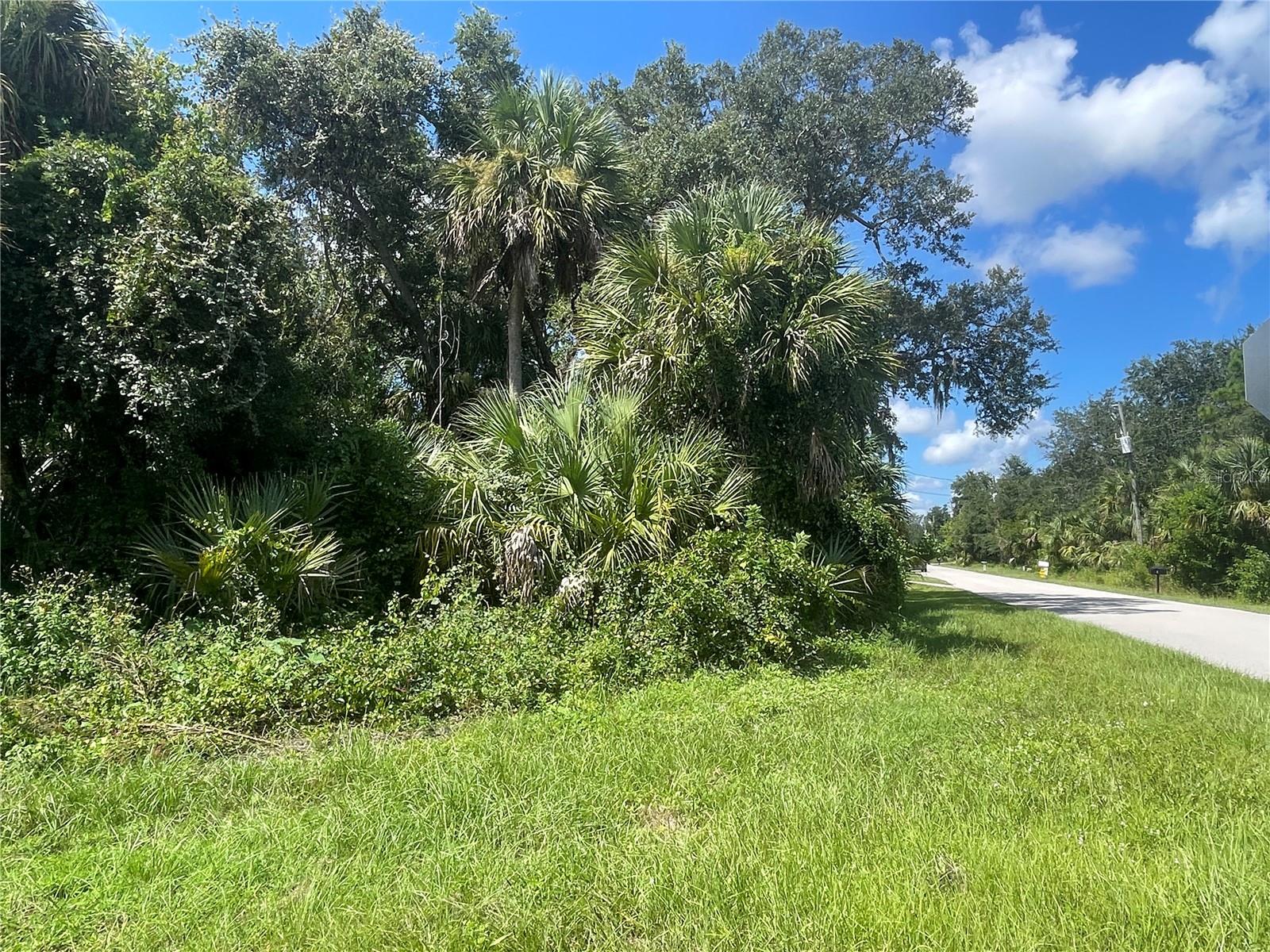 Snyder (lot 6 Block 1019) St Property Photo 20