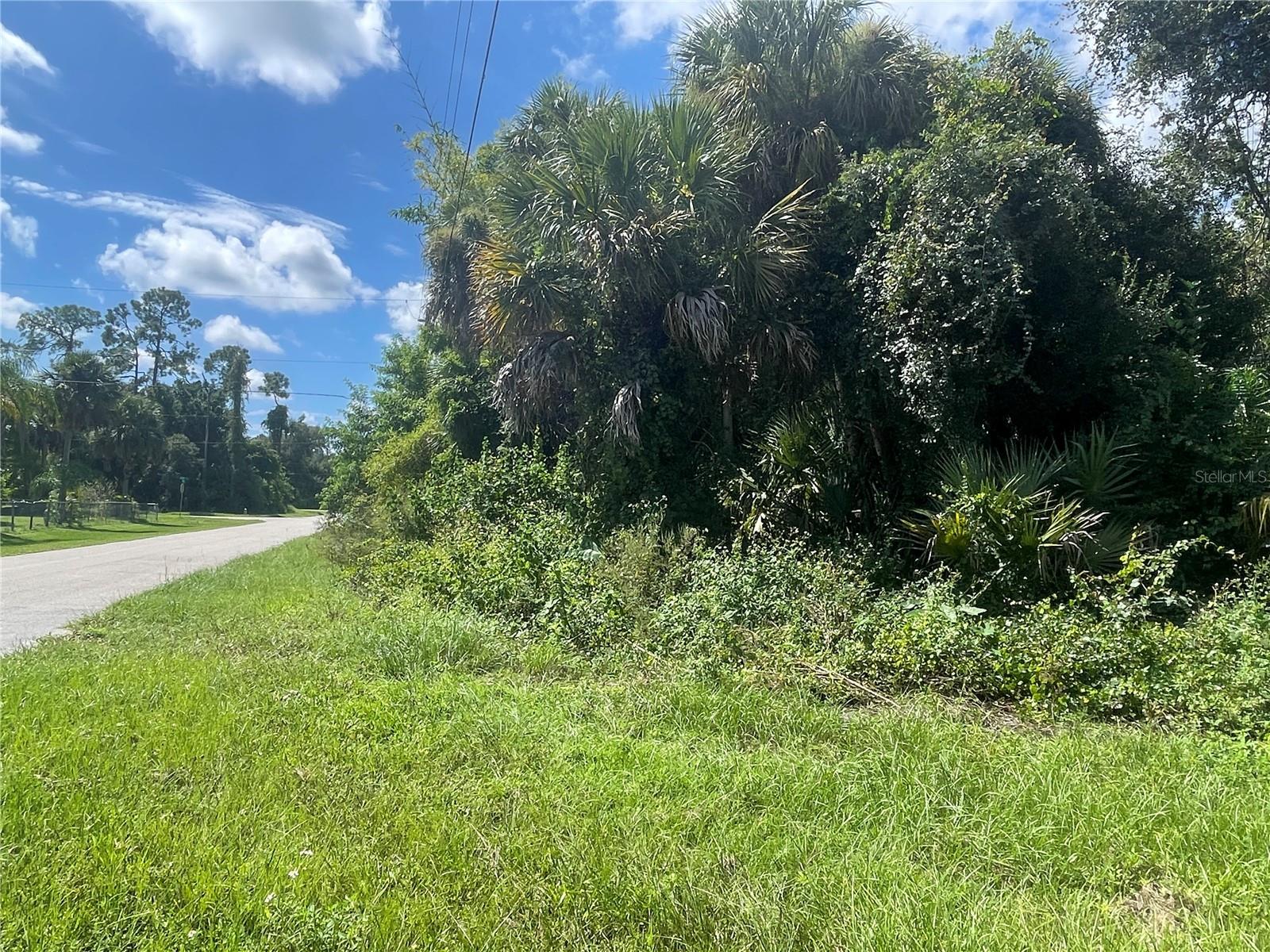 Snyder (lot 6 Block 1019) St Property Photo 21