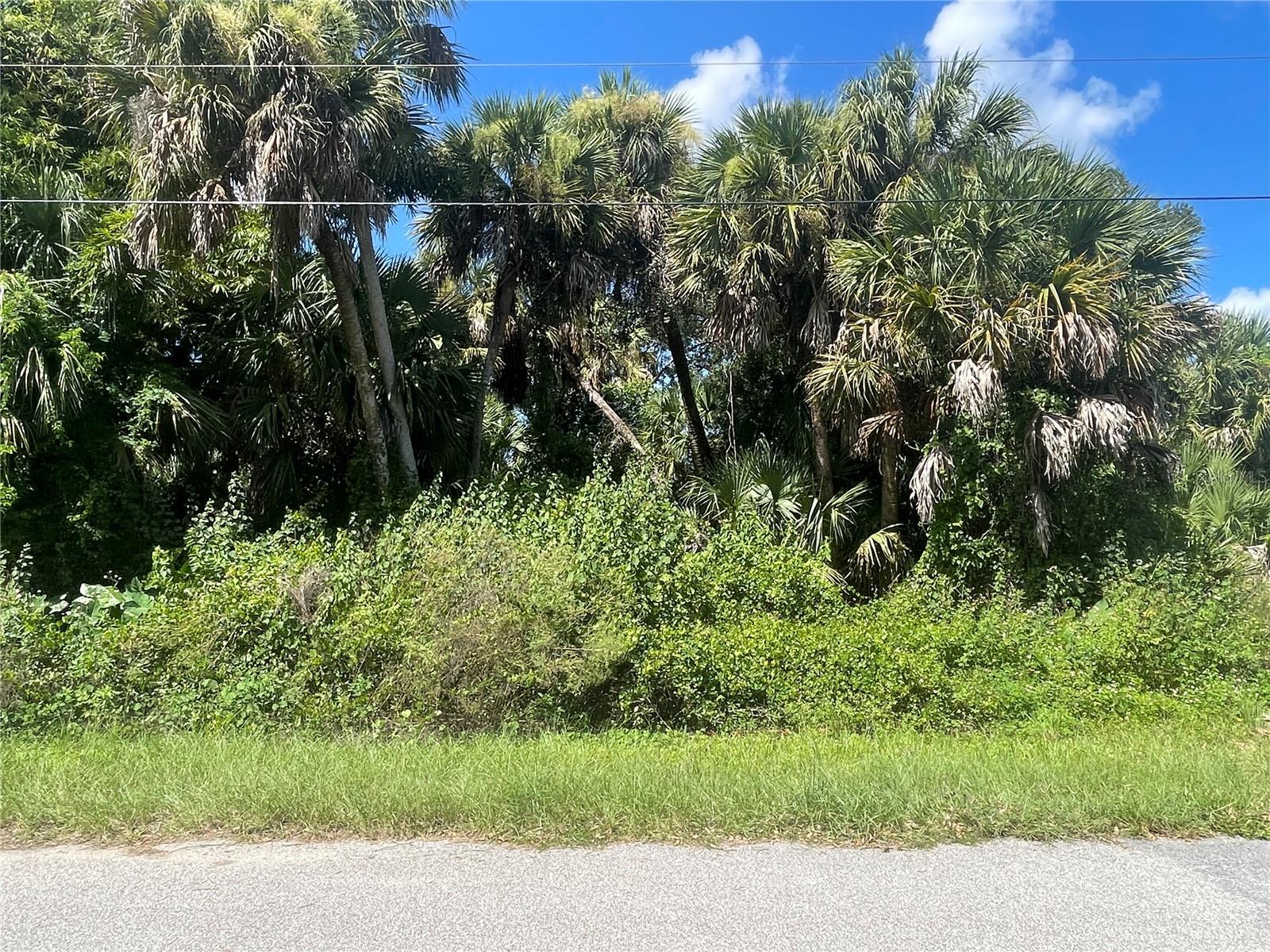 Snyder (lot 6 Block 1019) St Property Photo 22