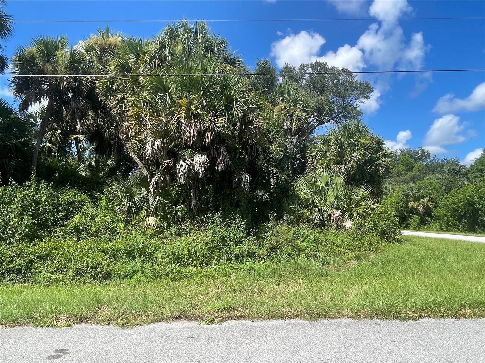 Snyder (lot 6 Block 1019) St Property Photo 23