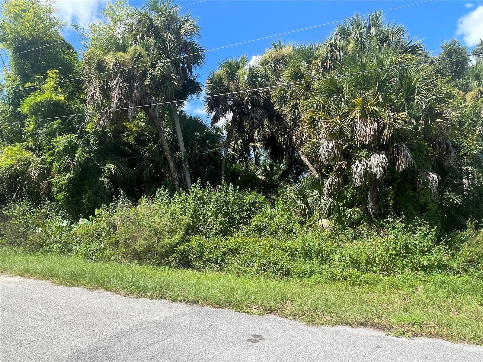 Snyder (lot 6 Block 1019) St Property Photo 24