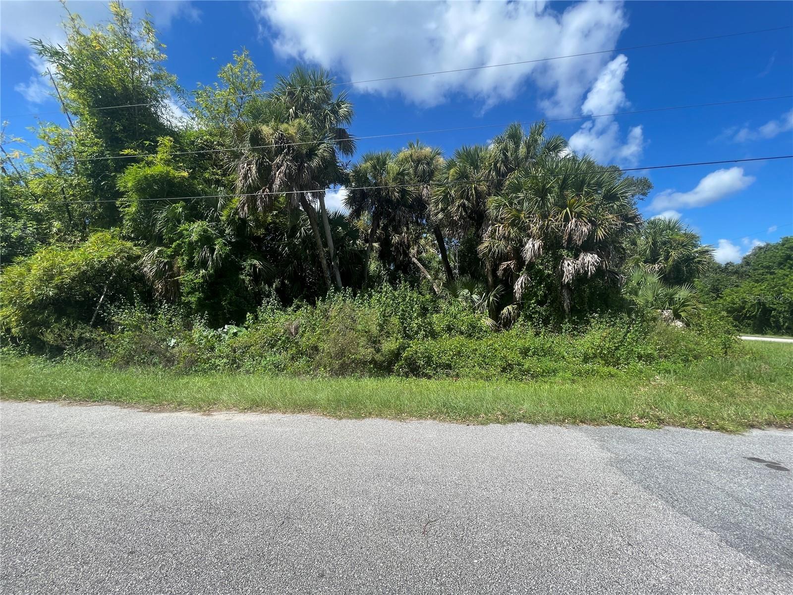 Snyder (lot 6 Block 1019) St Property Photo 25