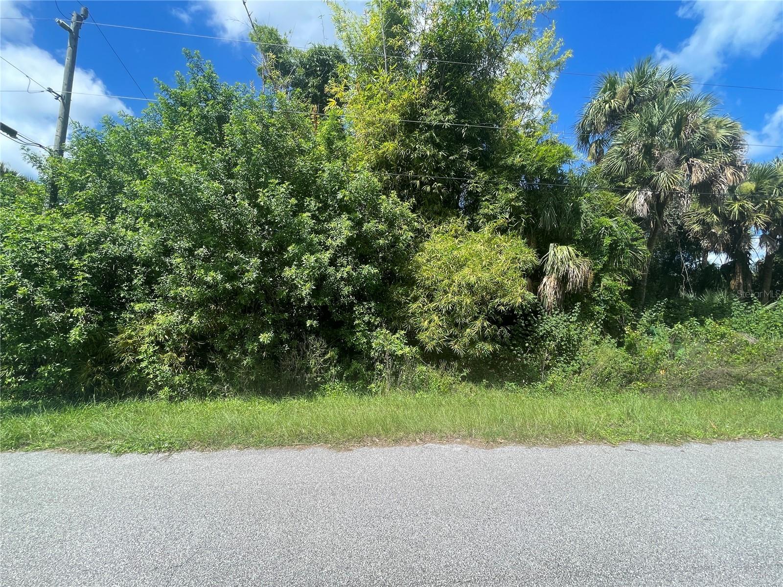 Snyder (lot 6 Block 1019) St Property Photo 27