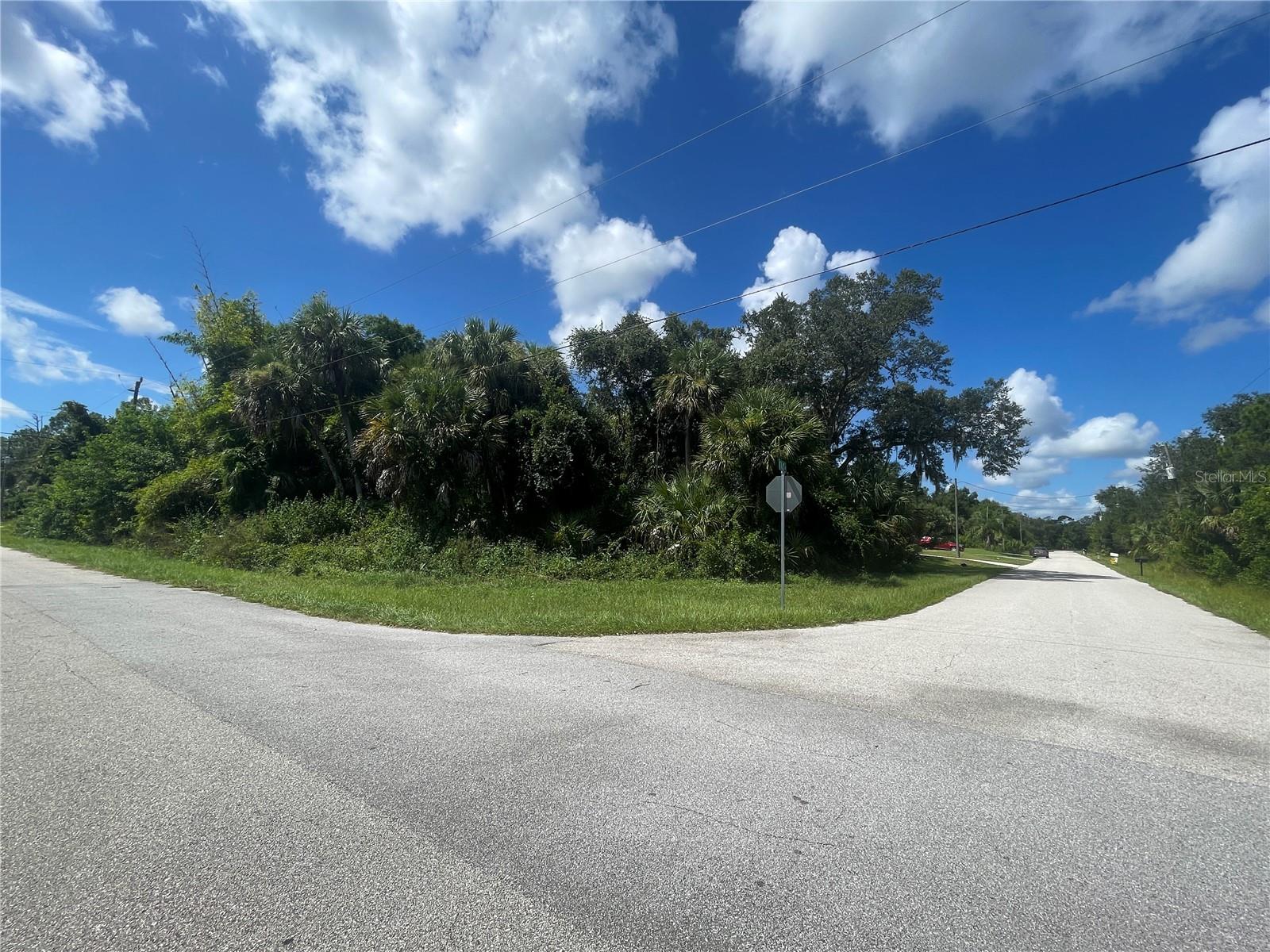 Snyder (lot 6 Block 1019) St Property Photo 30