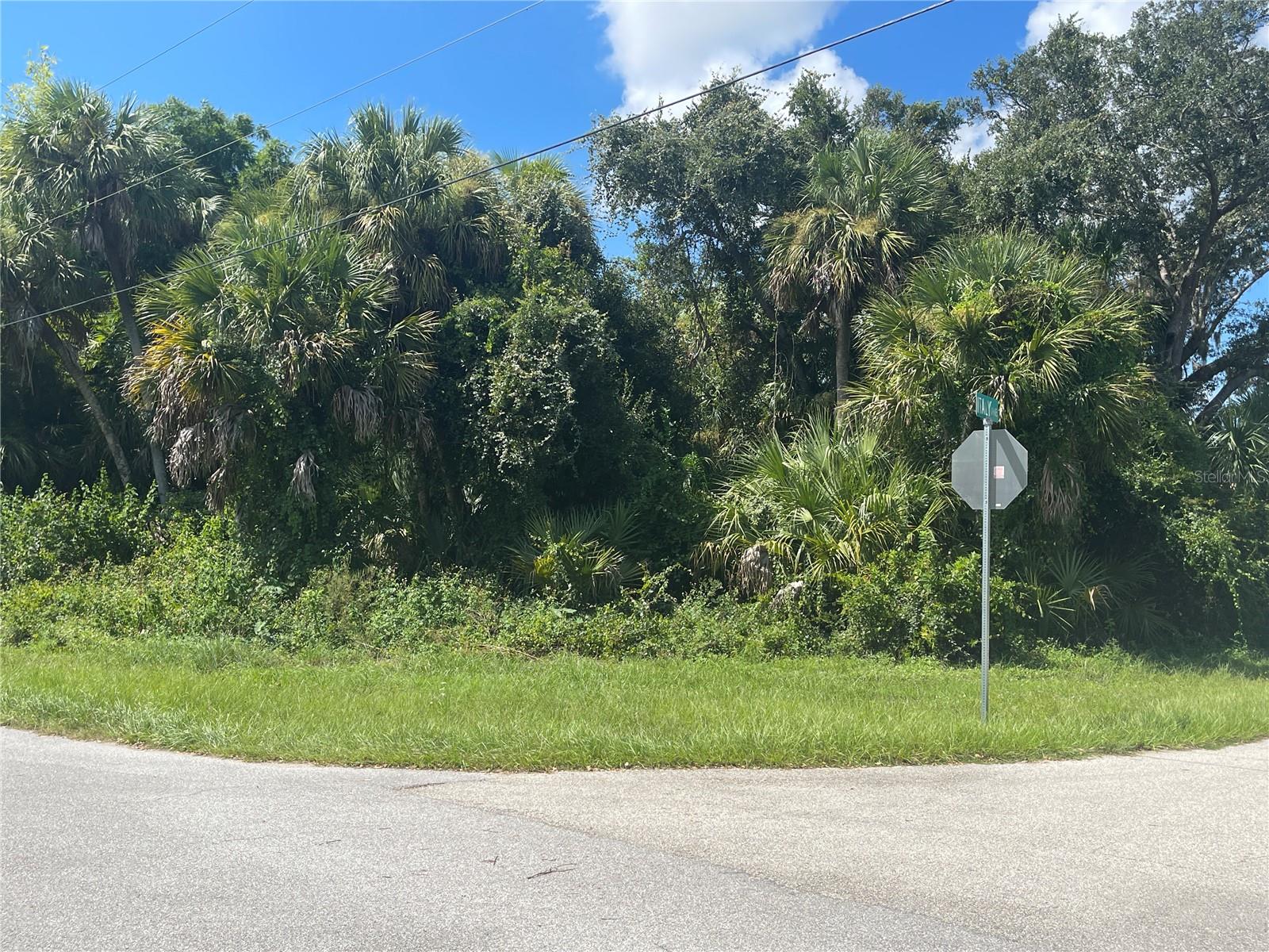 Snyder (lot 6 Block 1019) St Property Photo 32