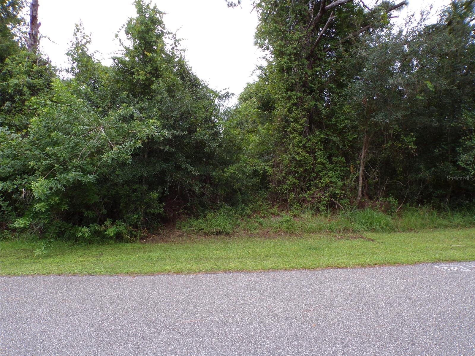Embassy Rd Property Photo 2