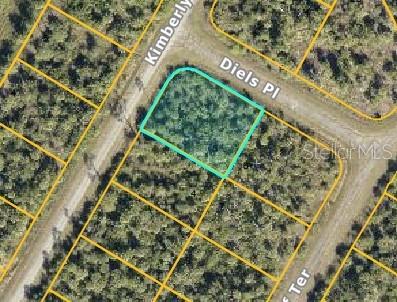 Diels Pl Property Photo 1