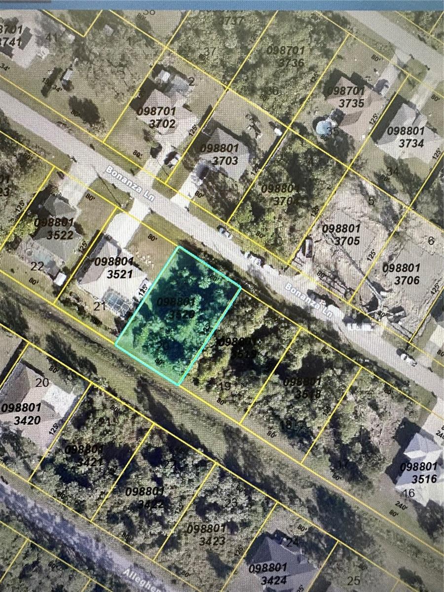 Bonanza Ln Property Photo 1
