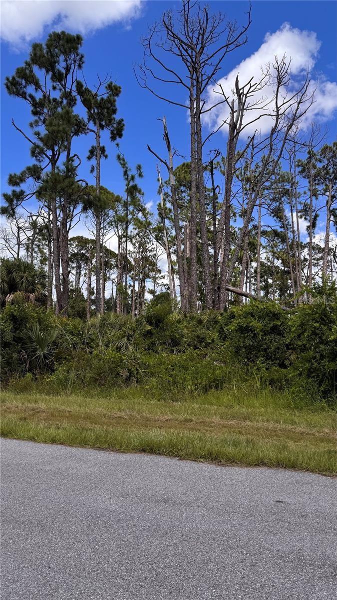72 Pompano St Property Photo 4