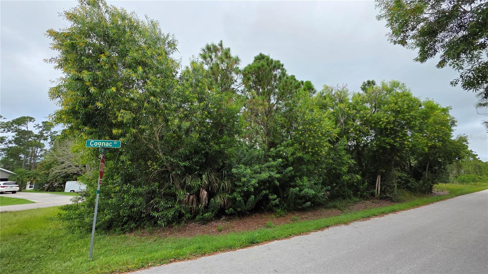 12339 COGNAC DR Property Photo 1