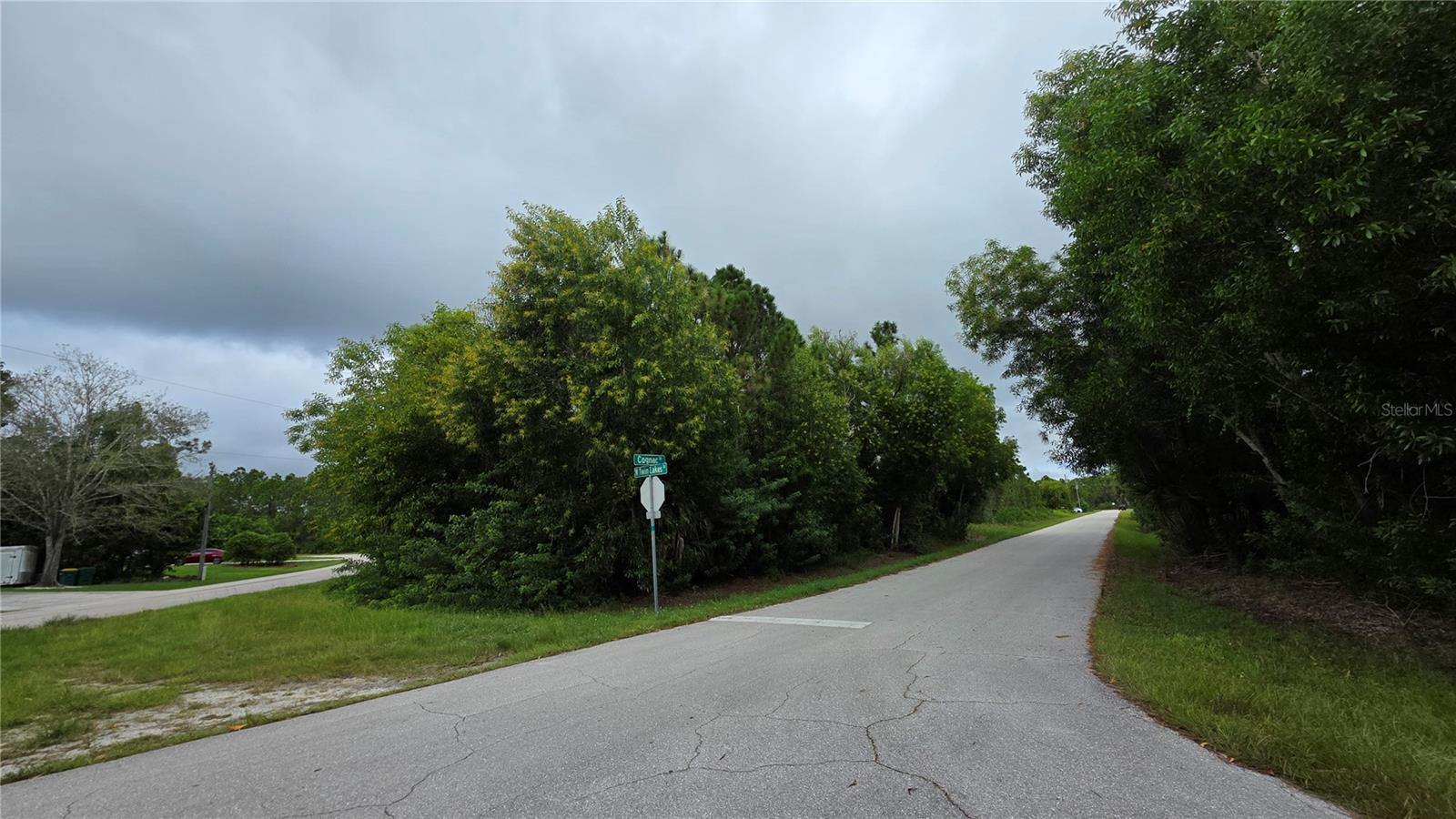 12339 Cognac Dr Property Photo 2