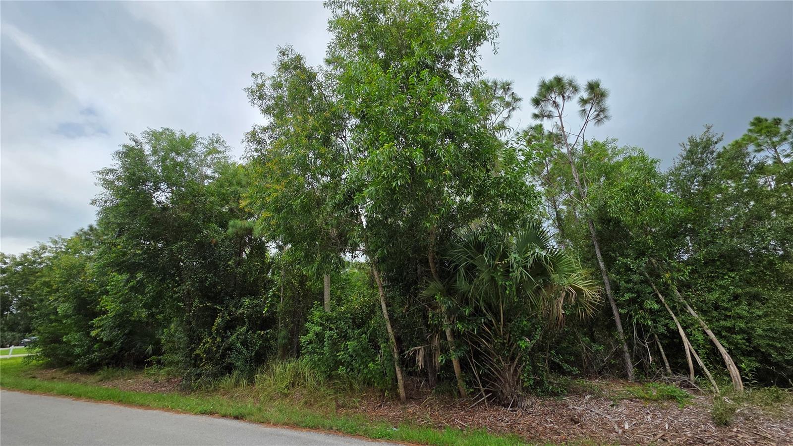 12339 Cognac Dr Property Photo 3