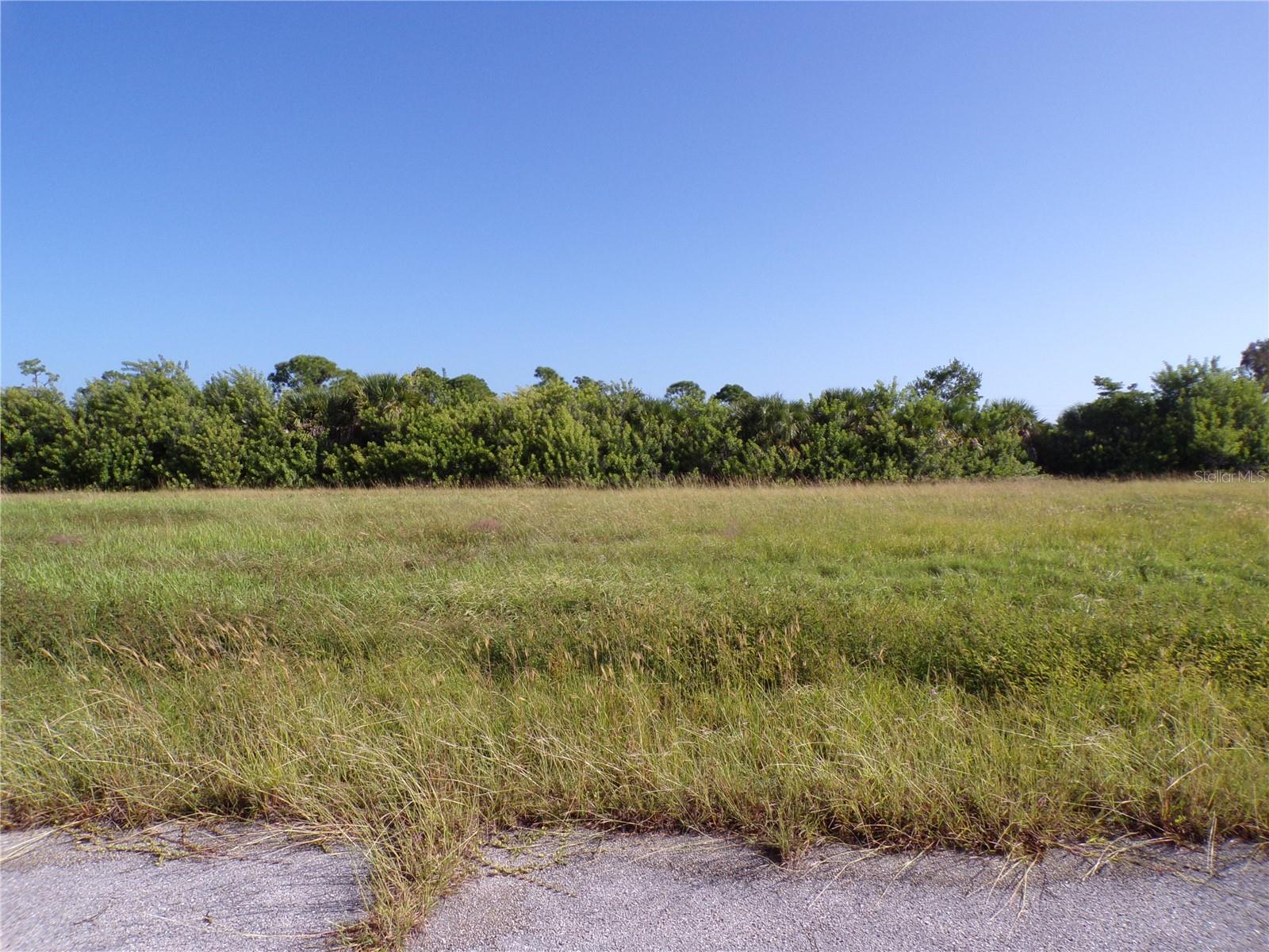13384 Alewife Ln Property Photo 2