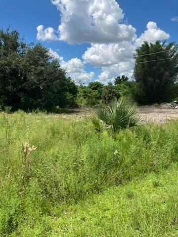 2011 Calle Bonito Property Photo 2