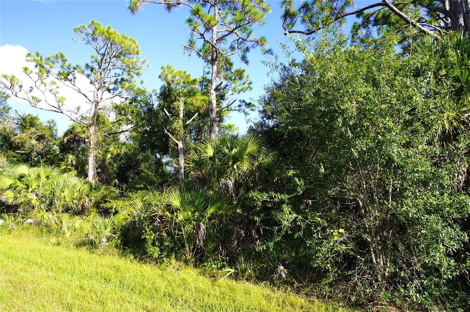 1294 BIRCH TER Property Photo 1