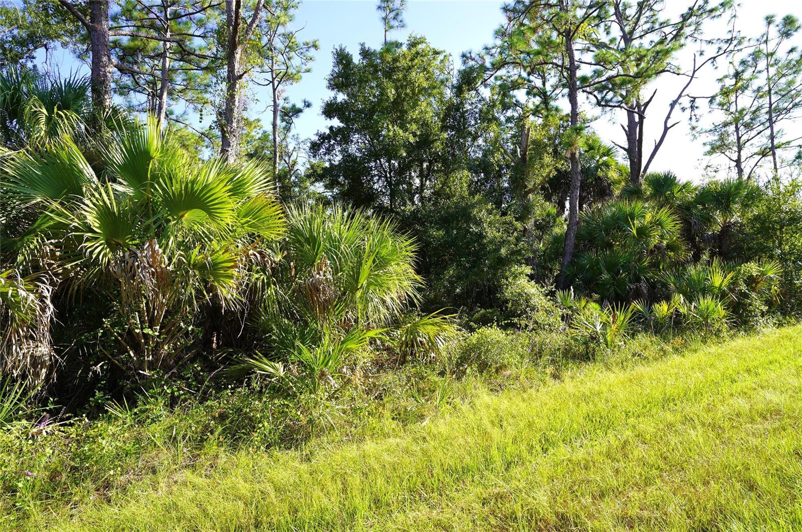1294 Birch Ter Property Photo 2