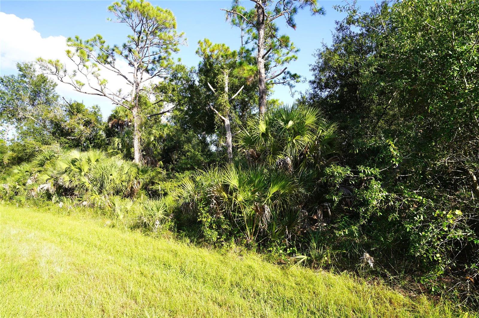 1294 Birch Ter Property Photo 4