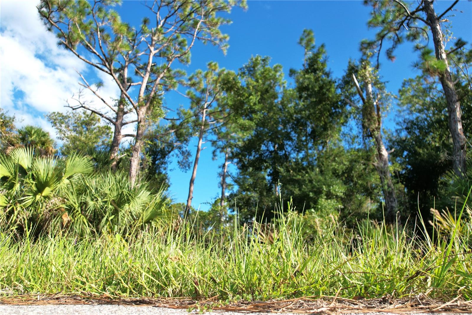 1294 Birch Ter Property Photo 5