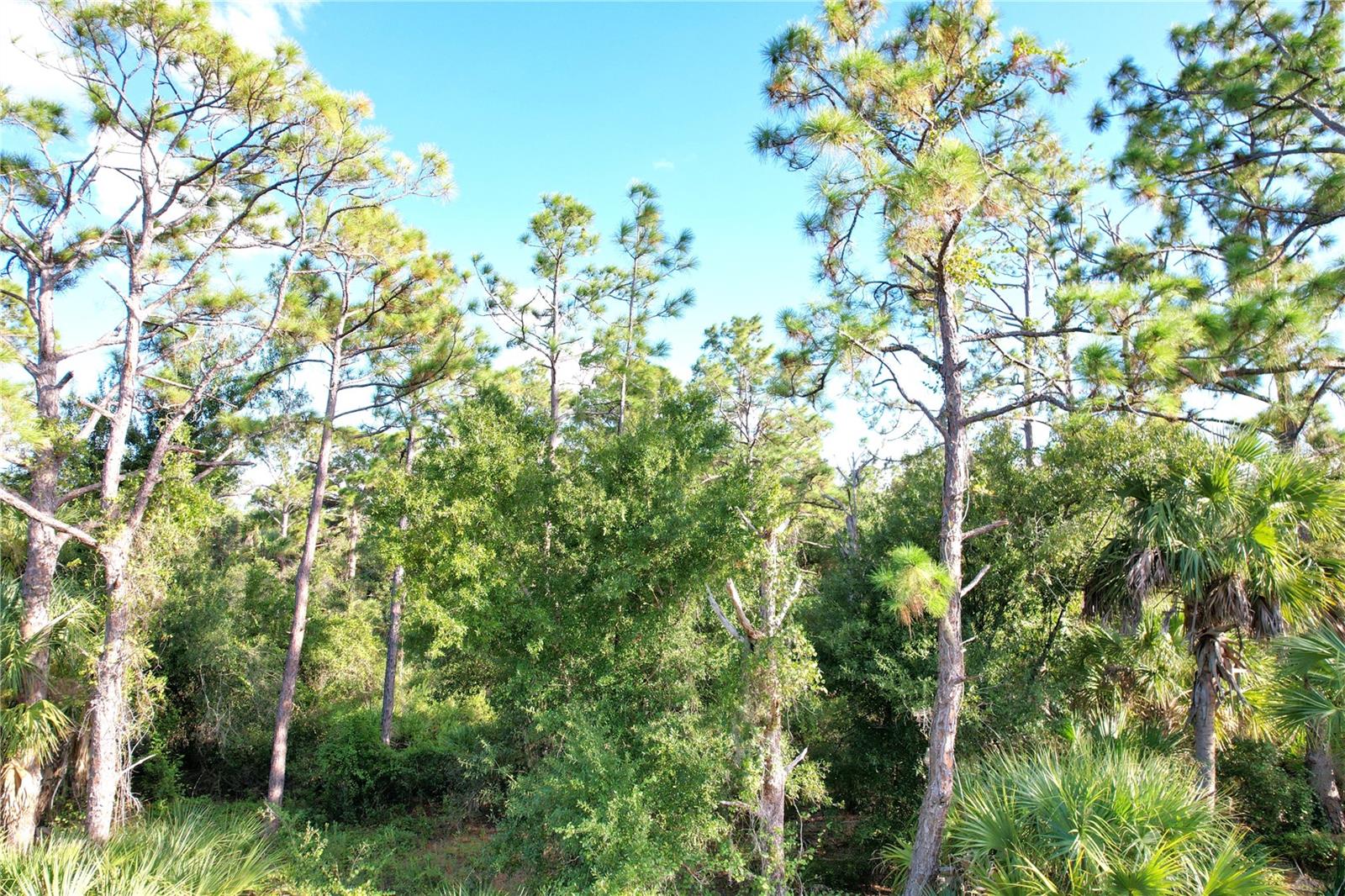1294 Birch Ter Property Photo 6