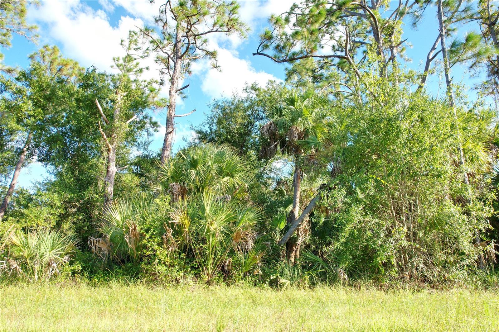1294 Birch Ter Property Photo 12