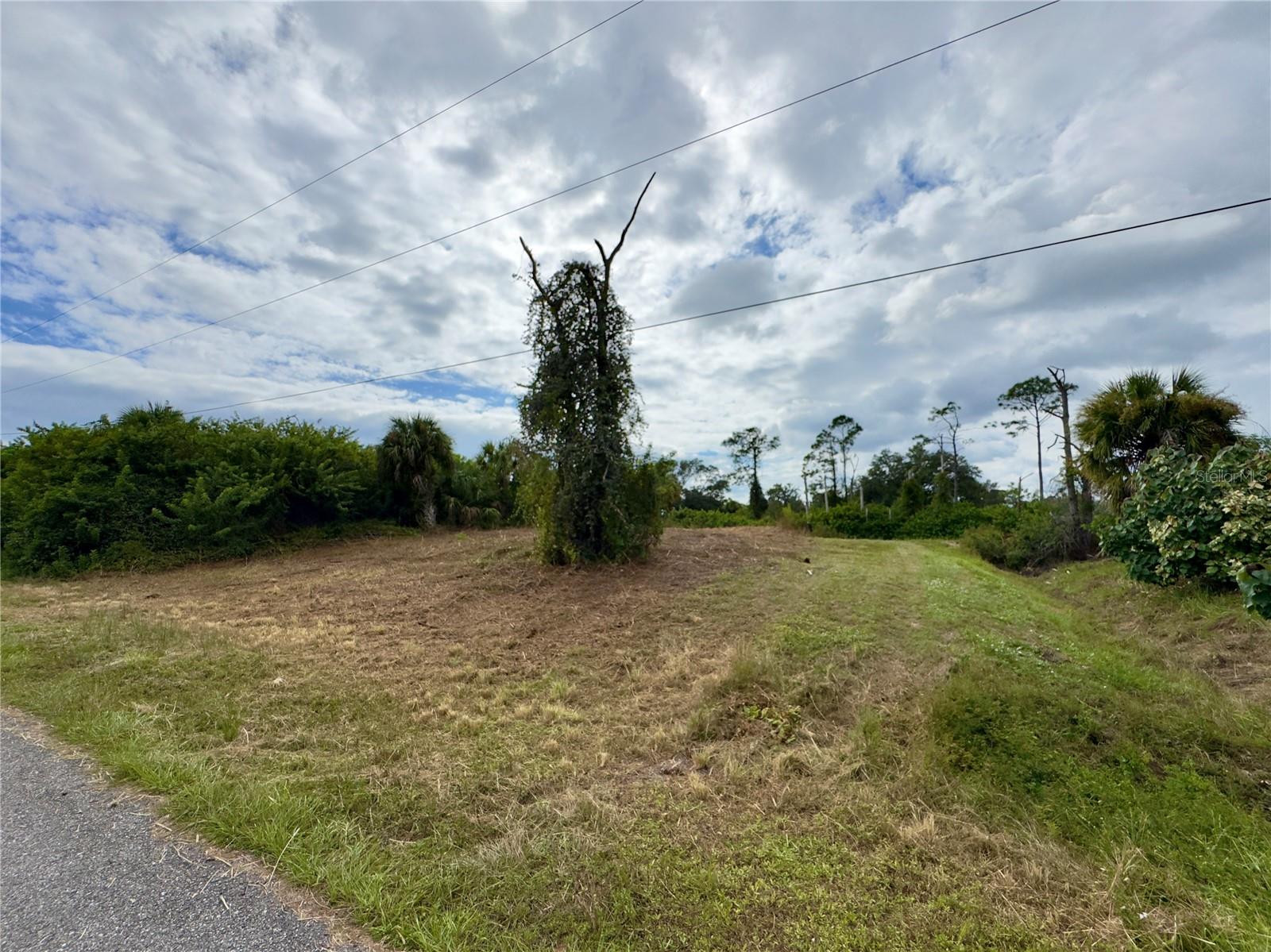 Lot 28 Florala St Property Photo 4
