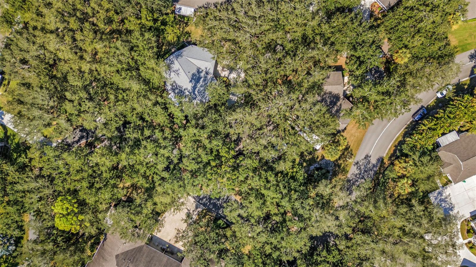 1350 Old Oak Trl Property Photo 42
