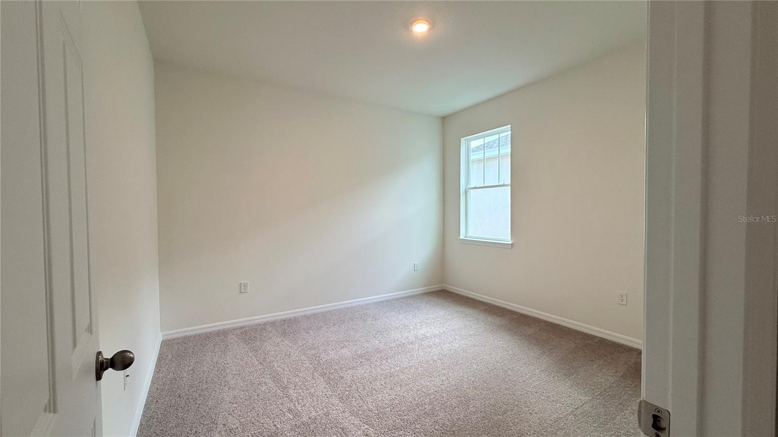 2334 Selenia St Property Photo 4