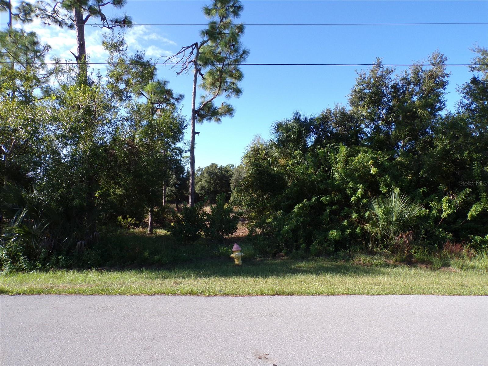 25079 Harborside Blvd Property Photo 3