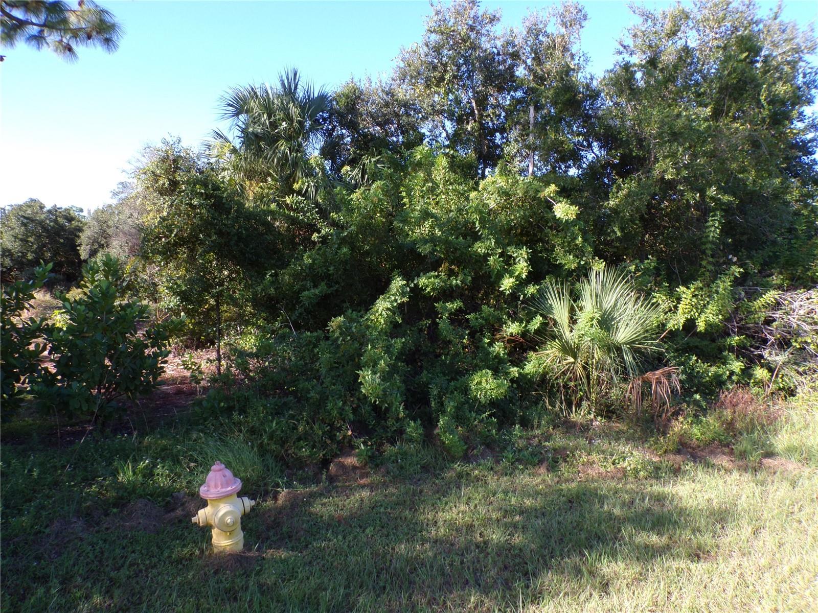 25079 Harborside Blvd Property Photo 10