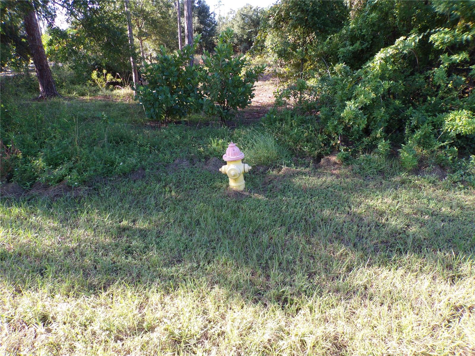 25079 Harborside Blvd Property Photo 13