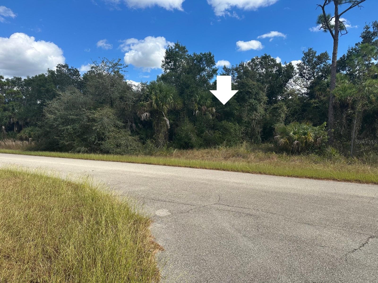 0 Whaling Rd Property Photo 2