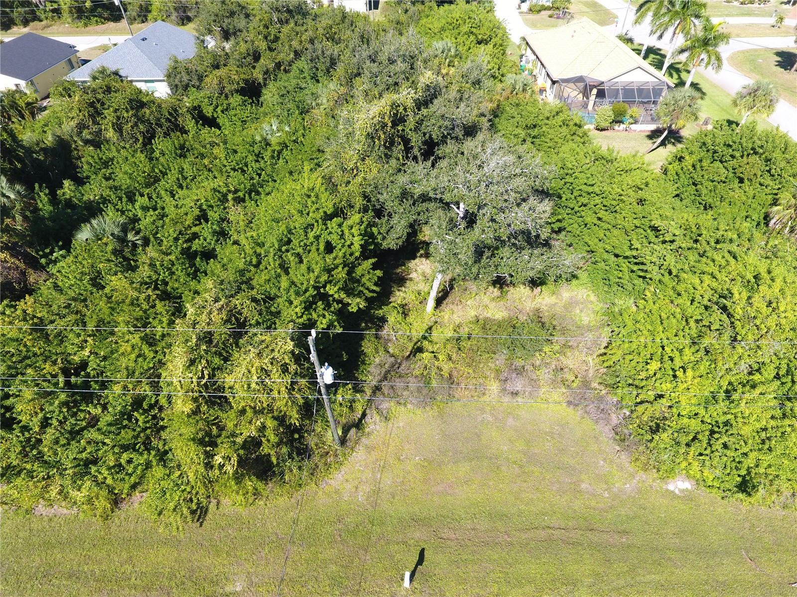 394 Albatross Rd Property Photo 3