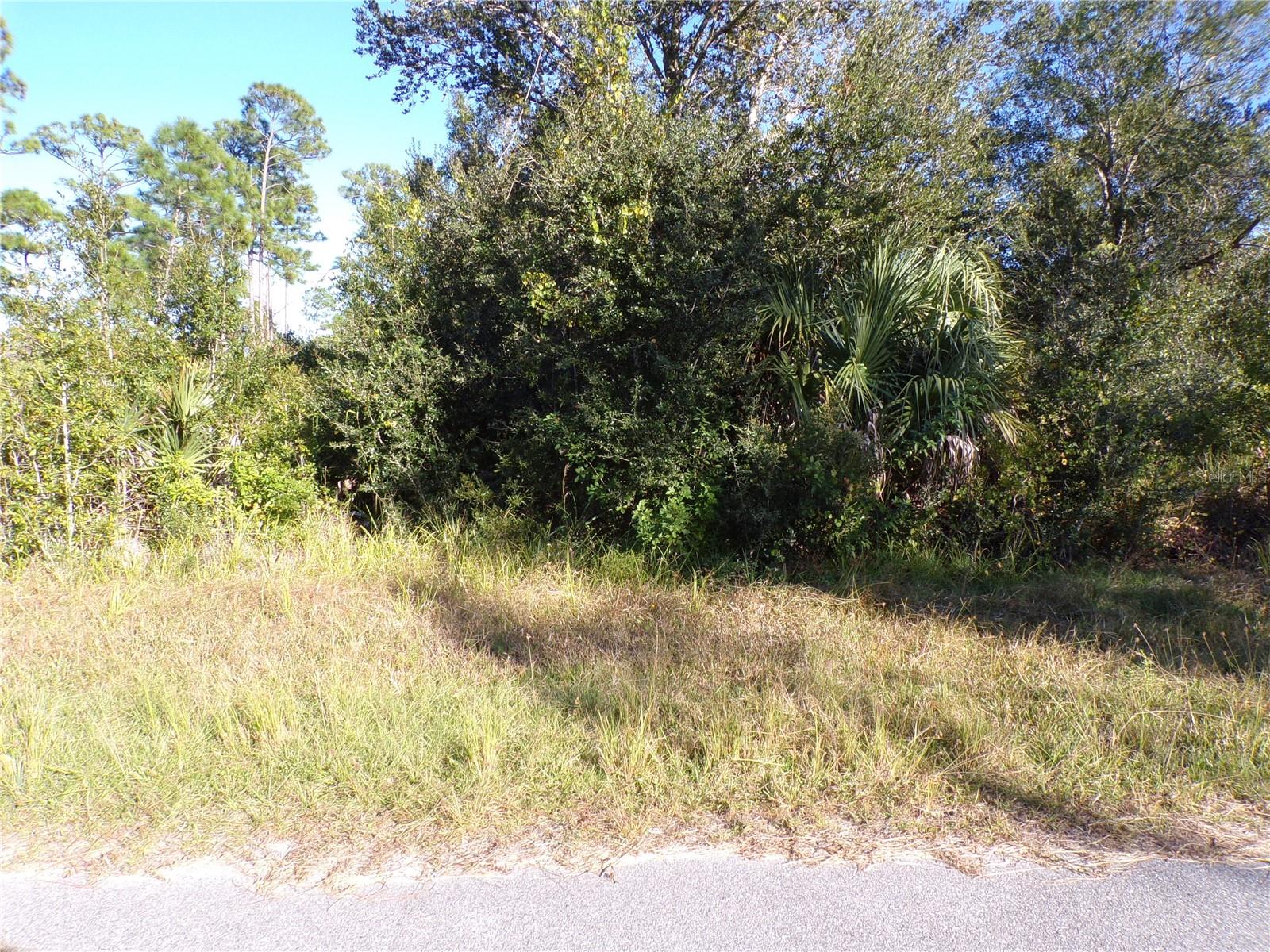 442 Lackland St Property Photo 1
