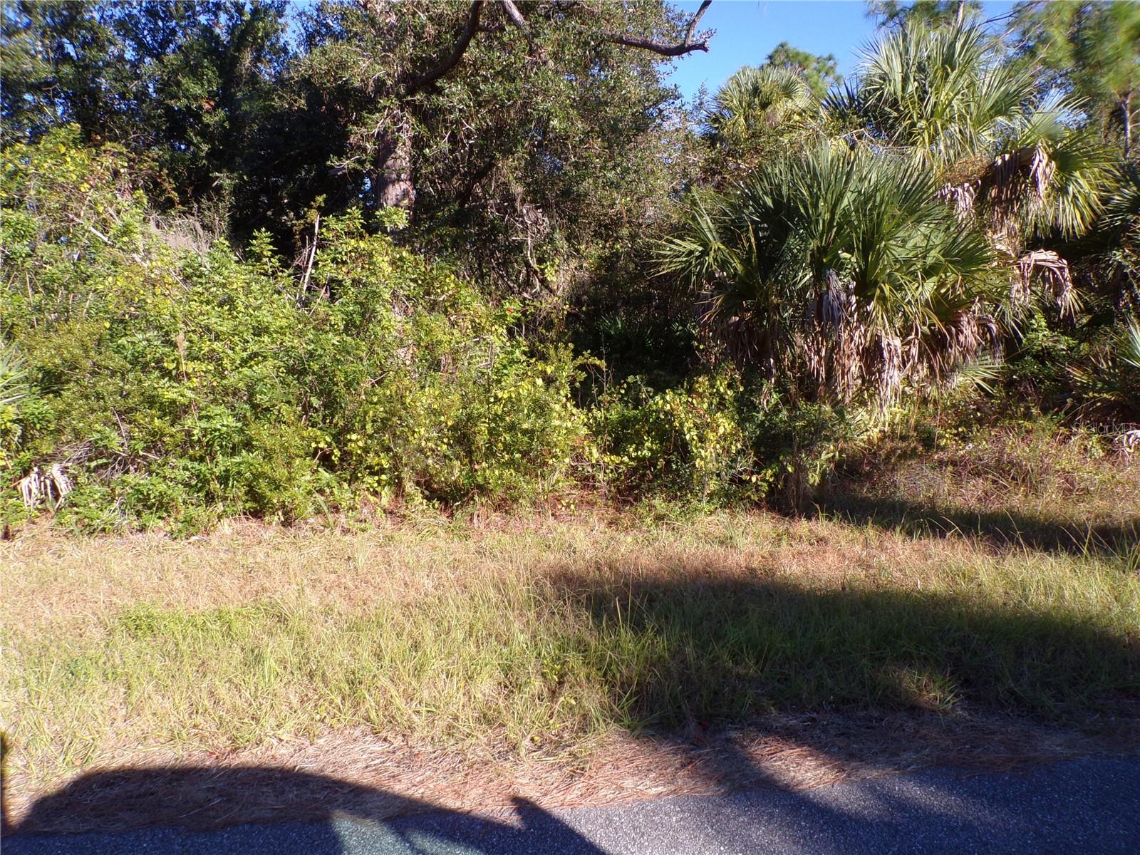 442 Lackland St Property Photo 8