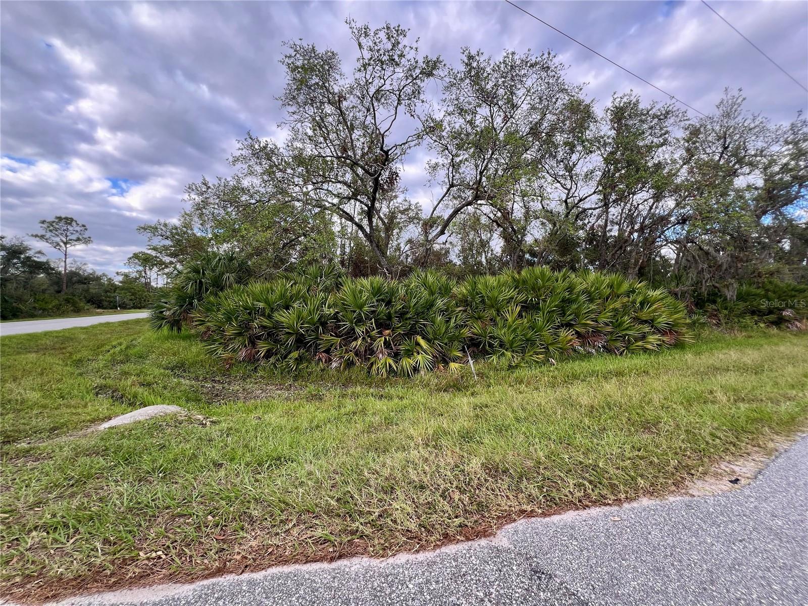 1131 Bowman Ter Property Photo 1